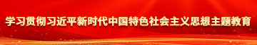 日胖女骚穴学习贯彻习近平新时代中国特色社会主义思想主题教育