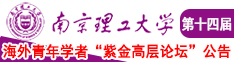 欧美操笔内天南京理工大学第十四届海外青年学者紫金论坛诚邀海内外英才！